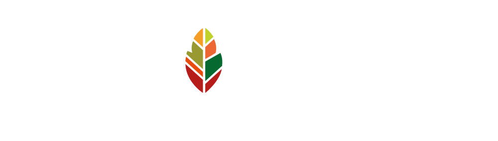 ART-TAILLE
